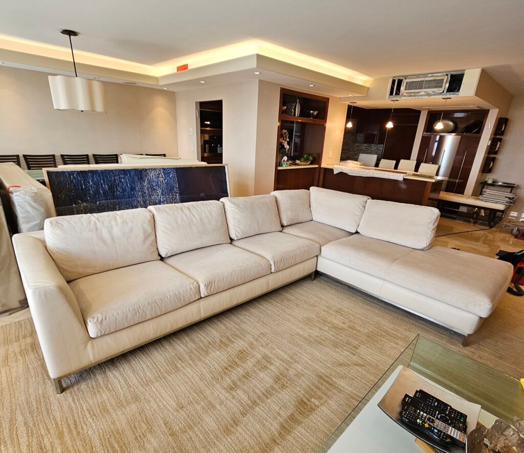 This sectional and area rug have been cleaned by very low moisture in Davie FL