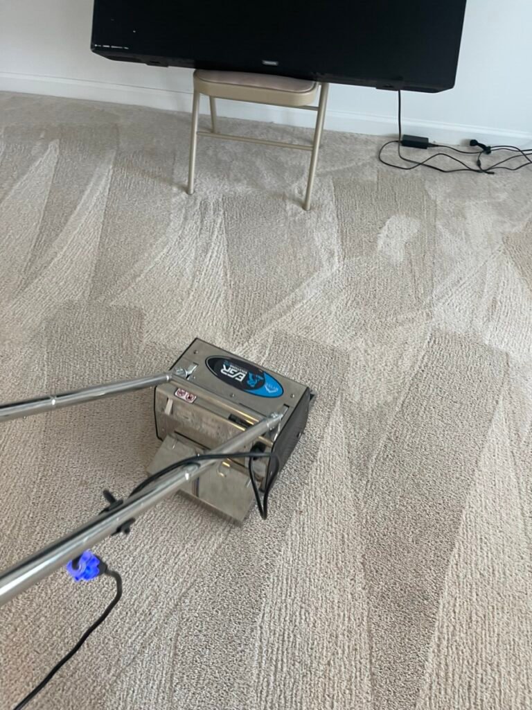 Professional wool rug carpet cleaning in Davie FL