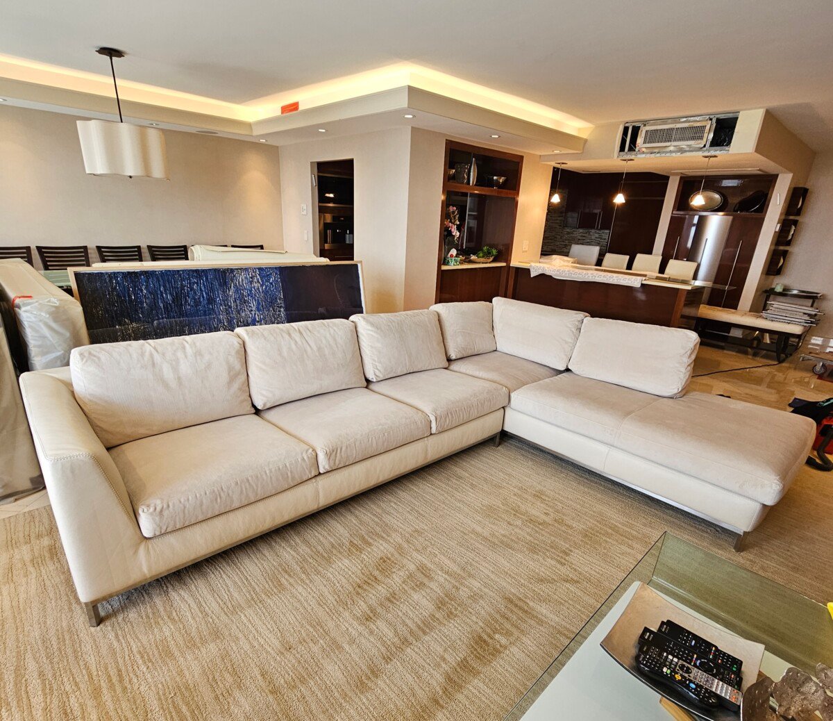 Professional sectional sofa cleaning in Davie FL