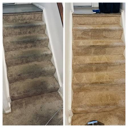 stains removal rug cleaning in Davie fl