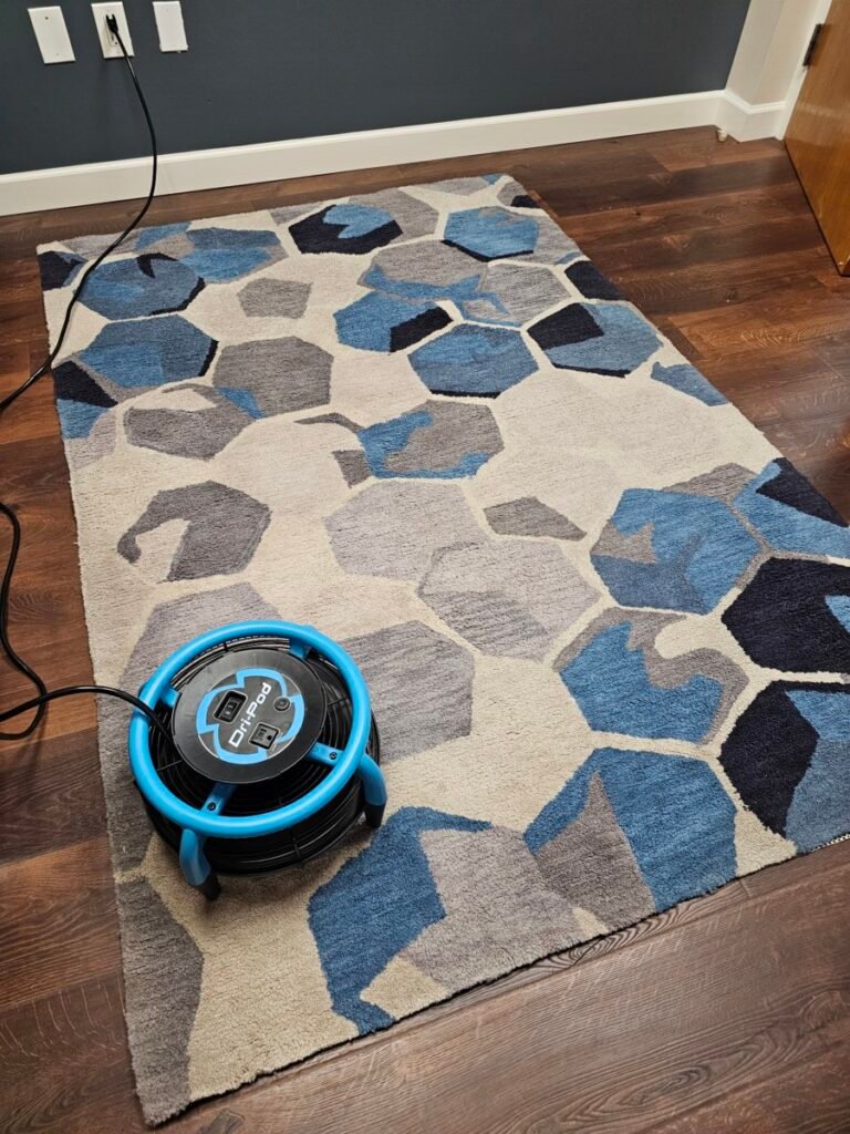 Commercial hot water extraction carpet cleaning Broward County FL — EGR Cleaning Solutions