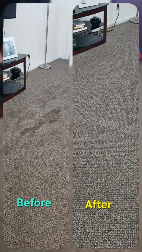 Carpet cleaning before and after Broward County FL — EGR Cleaning Solutions