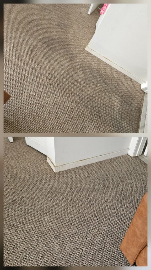 Before and after commercial carpet cleaning HWE Miramar FL — EGR Cleaning Solutions