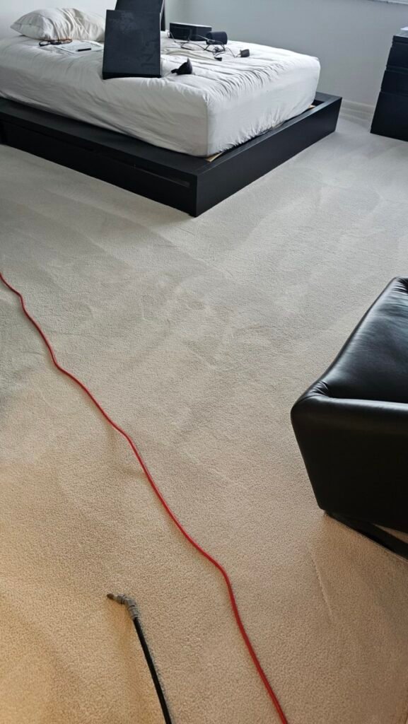 Carpet cleaning before and after Broward County FL — EGR Cleaning Solutions