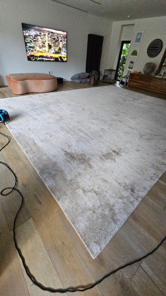 Viscose rug cleaning before and after Davie FL — EGR Cleaning Solutions