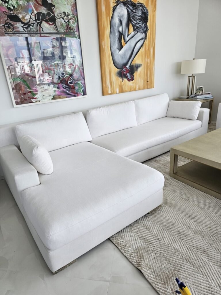 Upholstery sofa cleaning in Davie FL